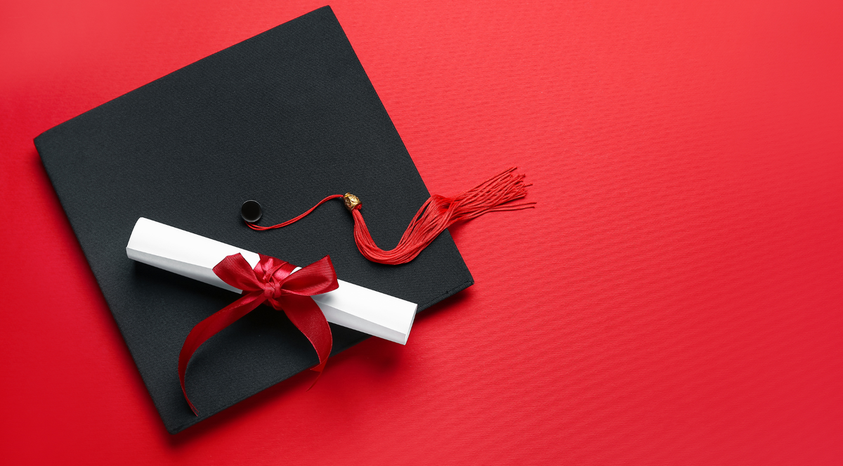 How Custom LMS Development Supports Student Success